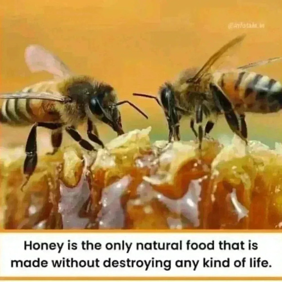 🆕Made from recycled water bottles! Ponytail Holders - Picture 9 of 11